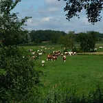 Herinnering Aan Brabant 4* Sint Michielsgestel