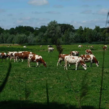 Bed & Breakfast Herinnering Aan Brabant Sint Michielsgestel