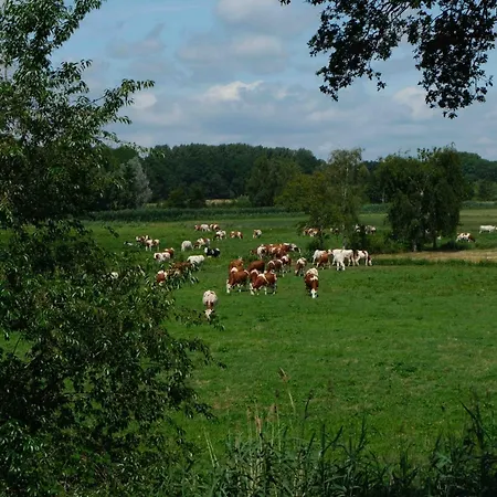 Herinnering Aan Brabant 4* Sint Michielsgestel