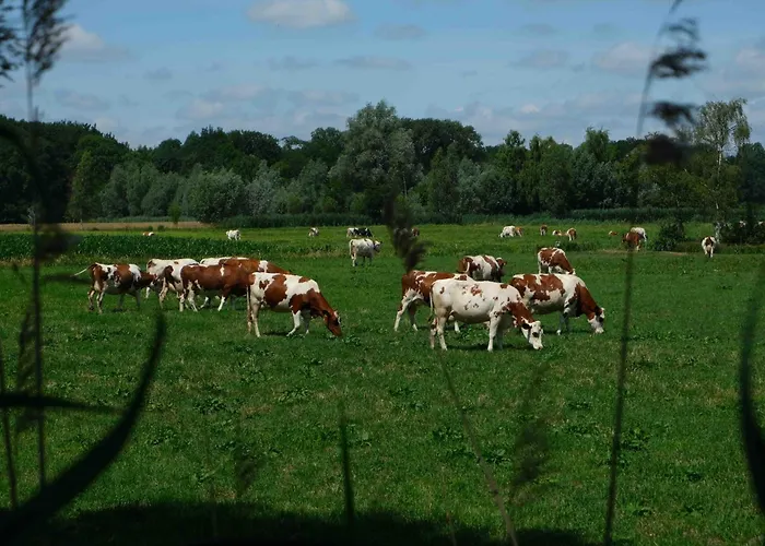 فندق مبيت وإفطار Herinnering Aan Brabant Sint Michielsgestel