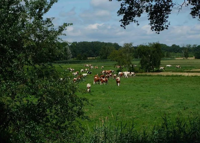 Herinnering Aan Brabant 4* Sint Michielsgestel