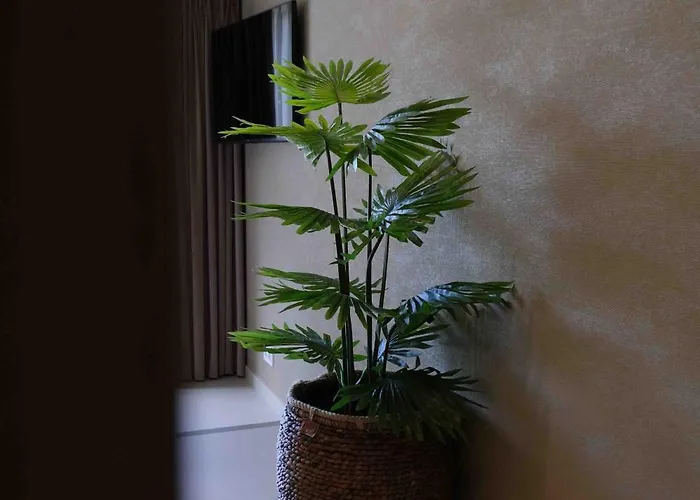 Herinnering Aan Brabant