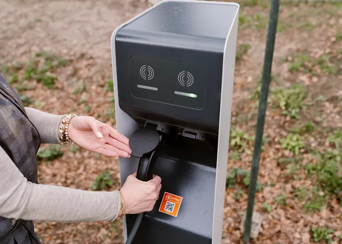 Herinnering Aan Brabant Sint Michielsgestel